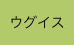 色上質紙（ウグイス）のカラー見本